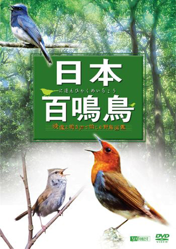 日本百鳴鳥 にほんひゃくめいちょう／映像と鳴き声で愉しむ野鳥図鑑