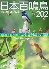 日本百鳴鳥 202 にほんひゃくめいちょう／映像と鳴き声で愉しむ野鳥図鑑 Wild Birds of Japan