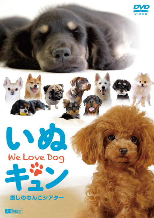 ［DVD］いぬキュン 癒しのわんこシアター We Love Dog