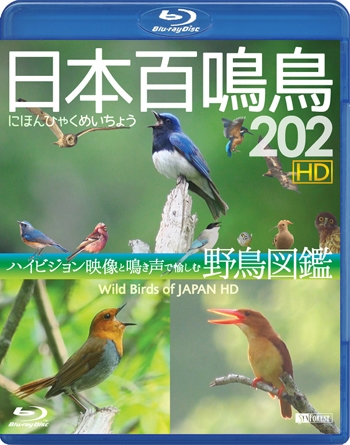 日本百鳴鳥 202 HD にほんひゃくめいちょう HD／ハイビジョン映像と鳴き声で愉しむ野鳥図鑑 Wild Birds of Japan HD