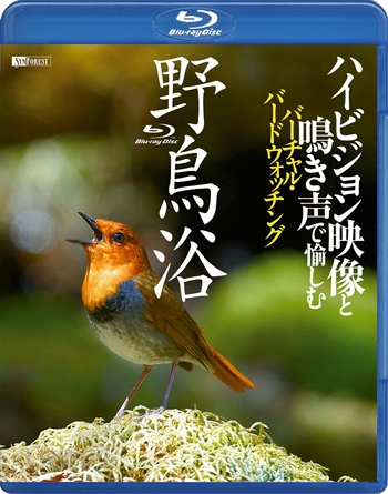 野鳥浴 ハイビジョン映像と鳴き声で愉しむバーチャル・バードウォッチング Virtual Bird Watching