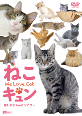 ［DVD］ねこキュン 癒しのにゃんこシアター We Love Cat