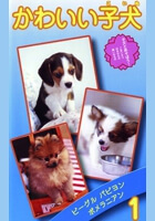 かわいい子犬vol.1 ビーグル、パピヨン、ポメラニアン