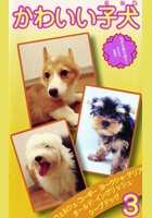 かわいい子犬vol.3　ｳｪﾙｼｭ･ｺｰｷﾞｰ､ﾖｰｸｼｬ･ﾃﾘｱ､ｵｰﾙﾄﾞ･ｲﾝｸﾞﾘｯｼｭ･ｼｰﾌﾟﾄﾞｯｸﾞ