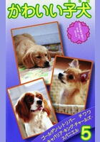 かわいい子犬vol.5　ｺﾞｰﾙﾃﾞﾝ･ﾚﾄﾘﾊﾞｰ､ﾁﾜﾜ､ｷｬﾊﾞﾘｱ･ｷﾝｸﾞ･ﾁｬｰﾙｽﾞ･ｽﾊﾟﾆｴﾙ