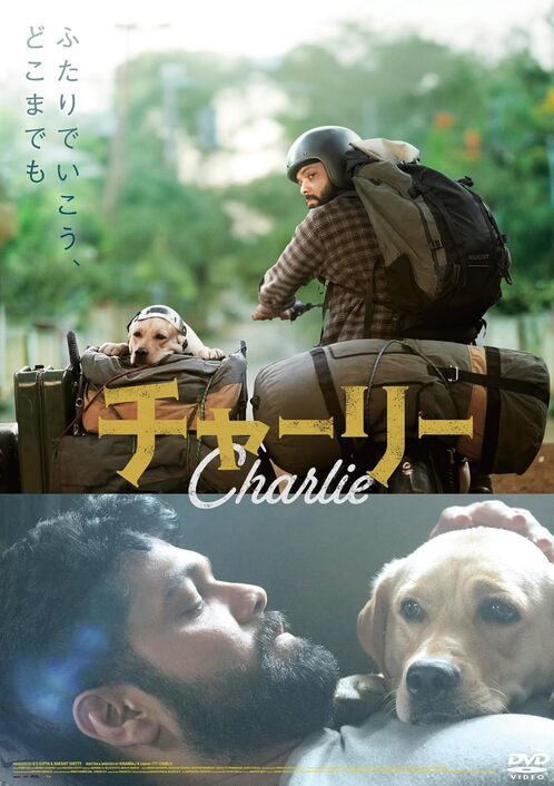 チャーリー【図書館用】